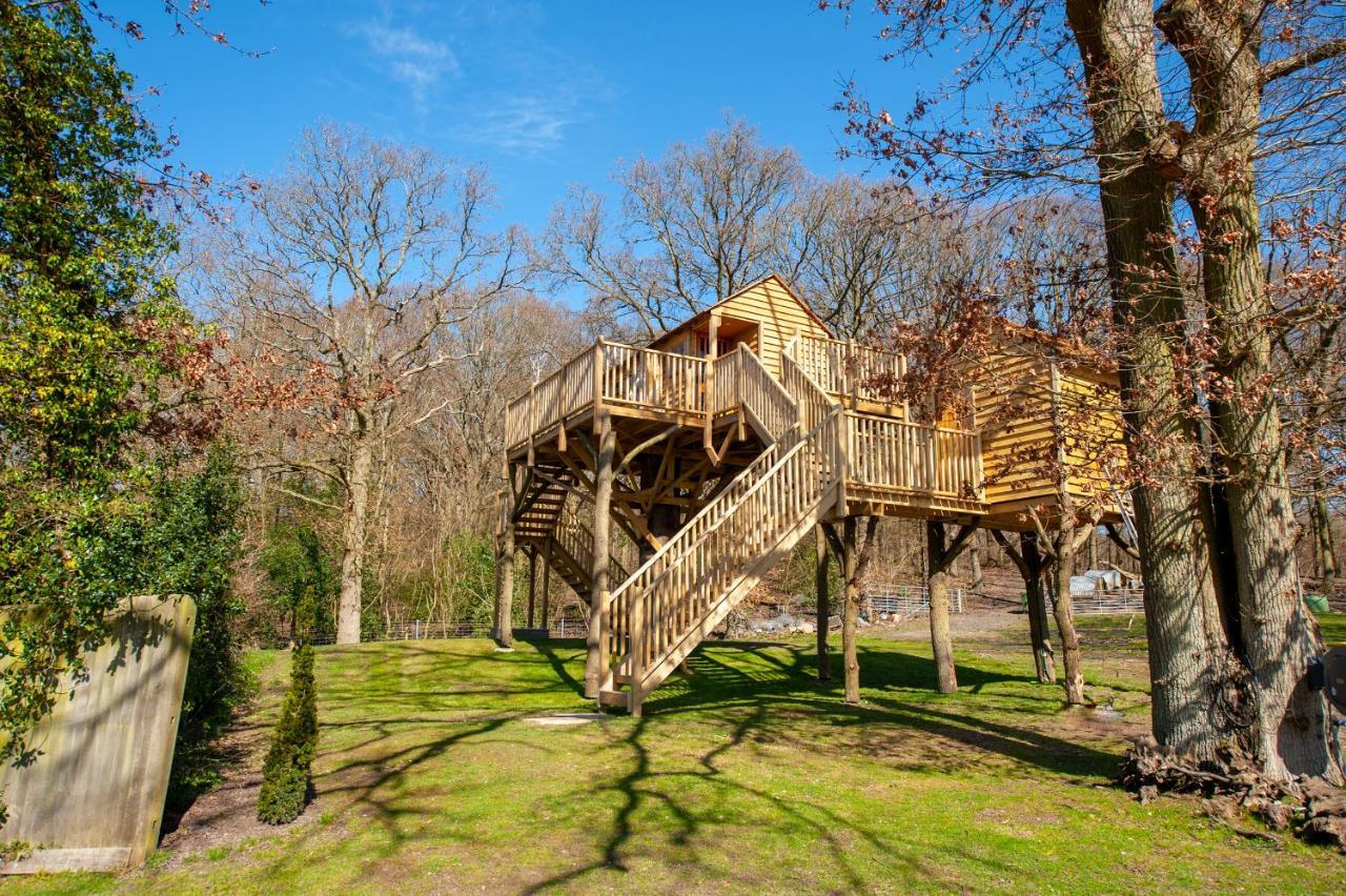 Oakside Tree Tops Canterbury Exterior foto
